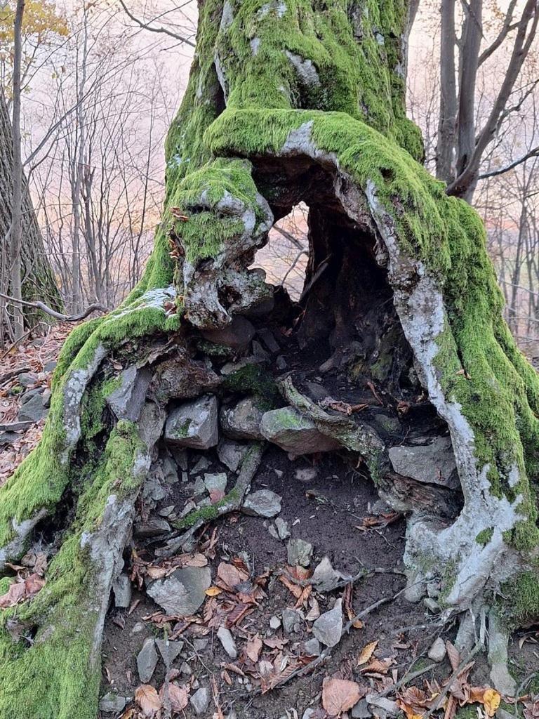 Burg Nad Banskou Stiavnicou Konuk evi Stiavnicke Bane Dış mekan fotoğraf