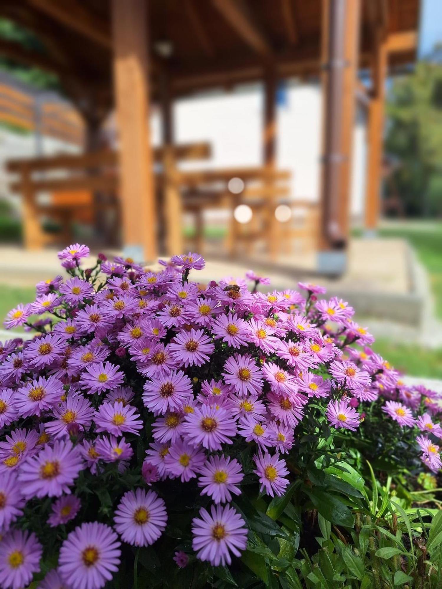 Burg Nad Banskou Stiavnicou Konuk evi Stiavnicke Bane Dış mekan fotoğraf